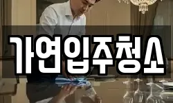 가연입주청소
