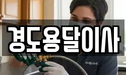 경도용달이사