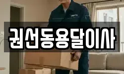 권선동용달이사