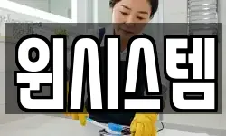 윈시스템