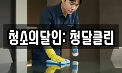 청소의달인: 청달클린