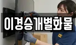 이경승개별화물