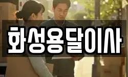 화성용달이사