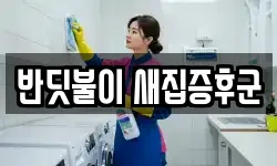 반딧불이 새집증후군