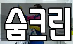숨크린