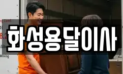 화성용달이사
