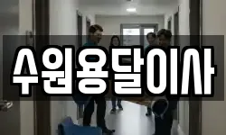 수원용달이사