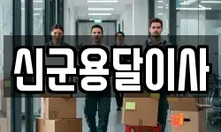 신군용달이사