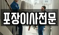 포장이사전문