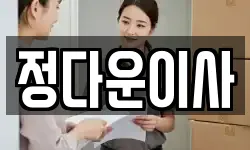 정다운이사
