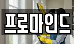 프로마인드