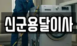 신군용달이사