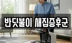 반딧불이 새집증후군