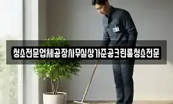 청소전문업체공장사무실상가준공크린룸청소전문