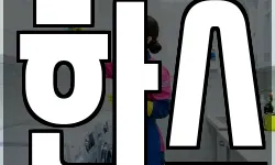 한스