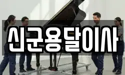 신군용달이사