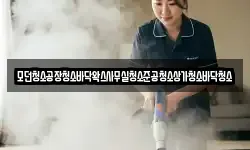 모던청소공장청소바닥왁스사무실청소준공청소상가청소바닥청소