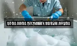입주청소.이사청소.반려견냄새제거.방충망교체.사무실청소