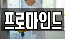 프로마인드