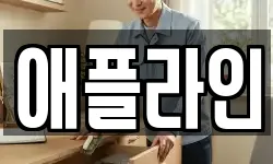 애플라인