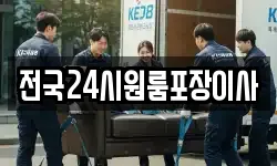 전국24시원룸포장이사