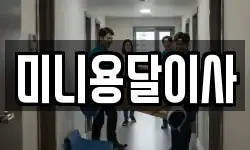 미니용달이사