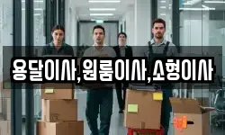 용달이사,원룸이사,소형이사