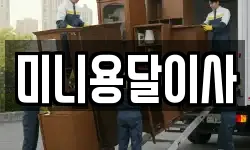 미니용달이사