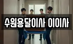 수원용달이사 이이사