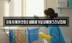 자동차에어컨청소냄새제거실내에바크리닝업체