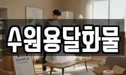 수원용달화물