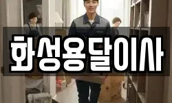 화성용달이사
