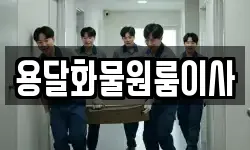 용달화물원룸이사