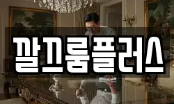 깔끄룸플러스
