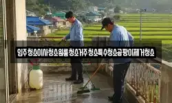 입주청소이사청소원룸청소거주청소특수청소곰팡이제거청소