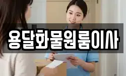 용달화물원룸이사