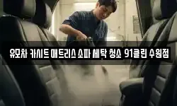 유모차 카시트 매트리스 소파 세탁 청소 91클린 수원점