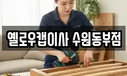옐로우캡이사 수원동부점