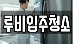 루비입주청소
