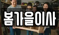 봄가을이사
