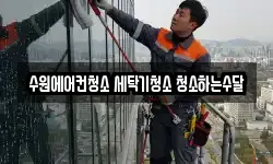 수원에어컨청소 세탁기청소 청소하는수달