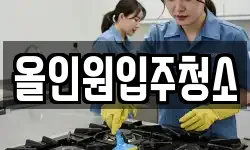 올인원입주청소