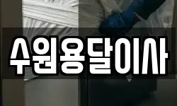 수원용달이사