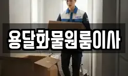 용달화물원룸이사