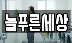 늘푸른세상