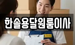 한솔용달원룸이사