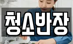 청소반장