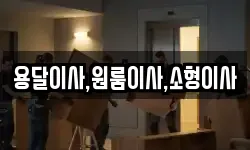 용달이사,원룸이사,소형이사