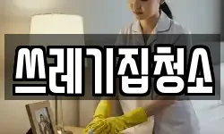 쓰레기집청소