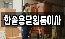 한솔용달원룸이사